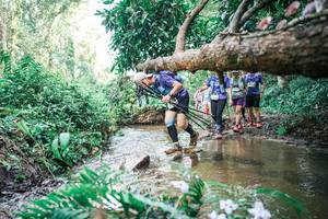 BIB: 
                            <button type="button" onclick="openModal(25478788)" class="btn btn-primary btn-sm float-right btn-popup" data-toggle="modal" data-target=".modal-high-quality">
                        <i class="fas fa-shopping-cart"></i> Add to Cart
                    </button>
                                            <button type="button" onclick="isThisMe(25478788, true)" class="btn btn-success btn-sm float-right btn-popup btn-isme hidden" data-toggle="tooltip" data-placement="bottom" title="นี่คือรูปของคุณใช่ไหม คลิกที่นี่เพื่อเอาเข้าอัลบั้ม">
                        <i class="fas fa-plus"></i> Add to album
                    </button>
                    <button type="button" onclick="isThisMe(25478788, false)" class="btn btn-warning btn-sm float-right btn-popup btn-isnotme hidden">
                        <i class="fas fa-ban"></i> Remove from album
                    </button>